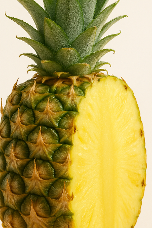 Verdauung